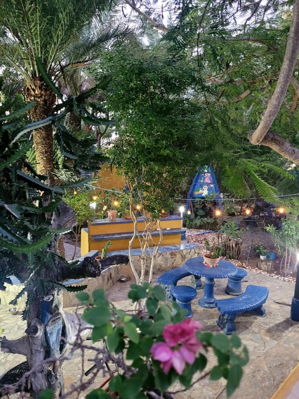 Steviewonderland Playa El Yaque Hotell Exteriör bild