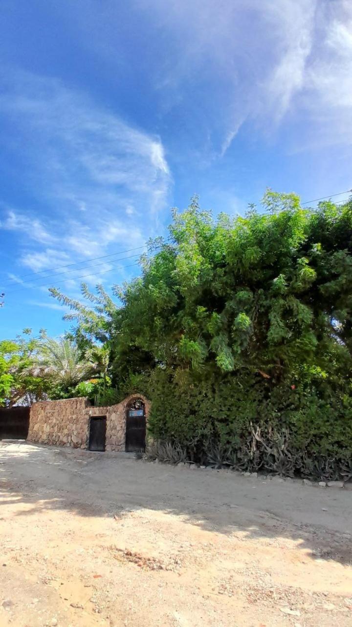 Steviewonderland Playa El Yaque Hotell Exteriör bild