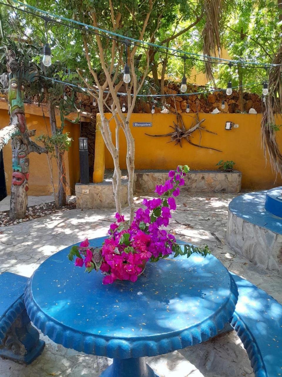 Steviewonderland Playa El Yaque Hotell Exteriör bild