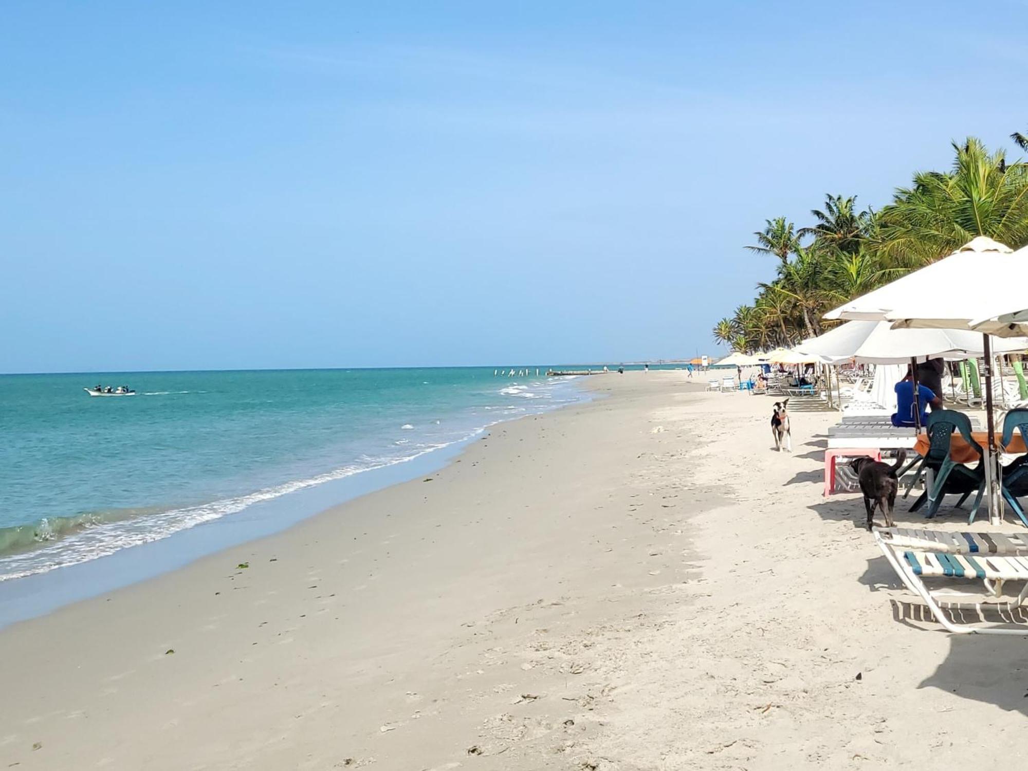 Steviewonderland Playa El Yaque Hotell Exteriör bild